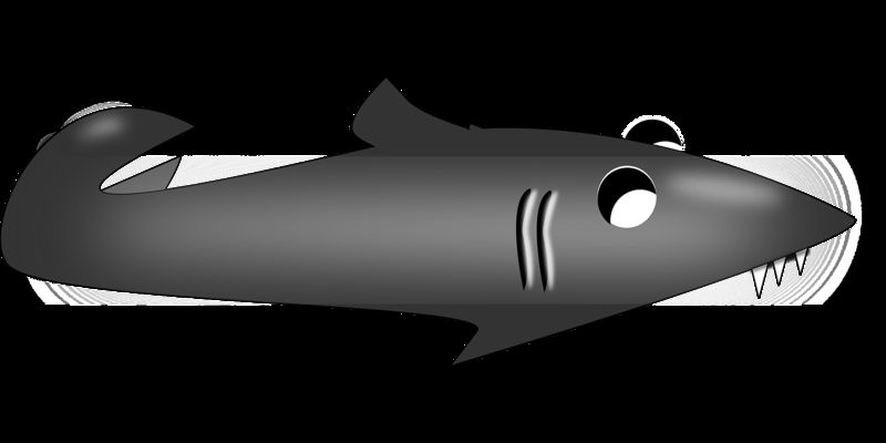 養金龍魚的溫度多少適應：冬季養金龍魚，水溫多少最合適？