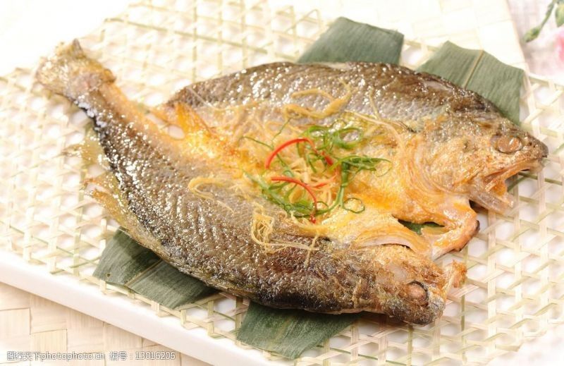 黃龍魚長什么樣子