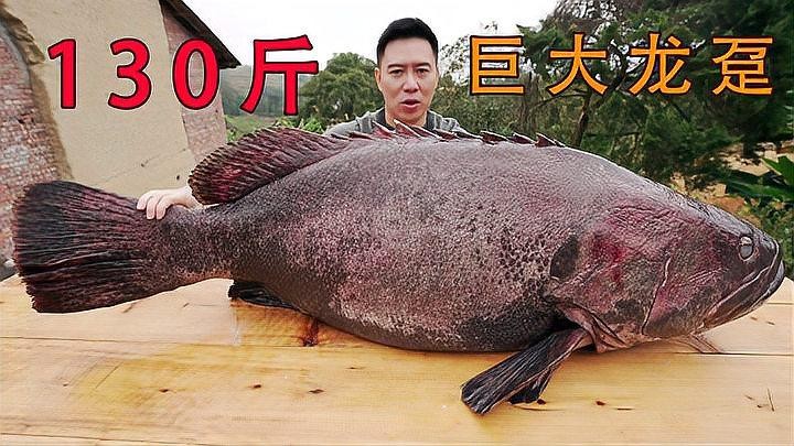 龍躉有哪些烹飪方法？