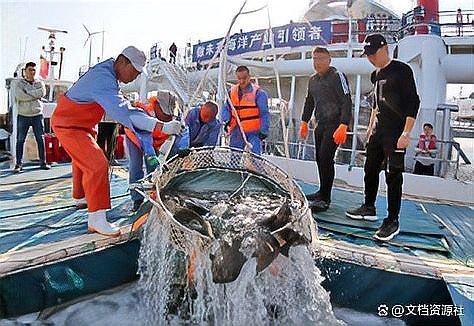 龍魚養殖的利潤大概是多少？