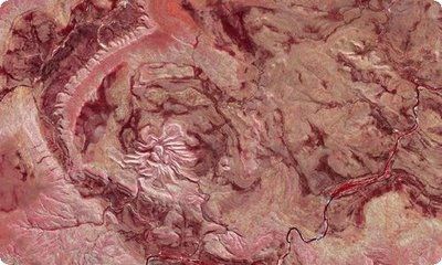 養(yǎng)龍魚的樂趣作文400字：養(yǎng)龍魚是一種讓人陶冶情操、享受生活的興趣愛好