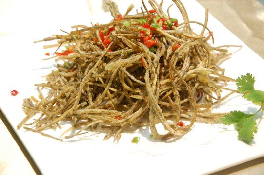 海龍魚的功能與作用：海龍魚具有多種功能與作用