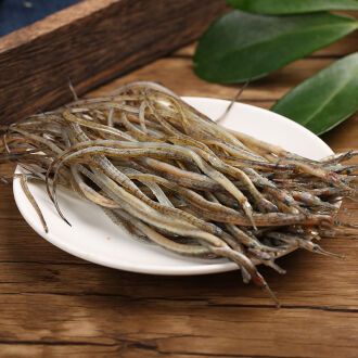 海龍魚的功能與作用：海龍魚具有多種功能與作用