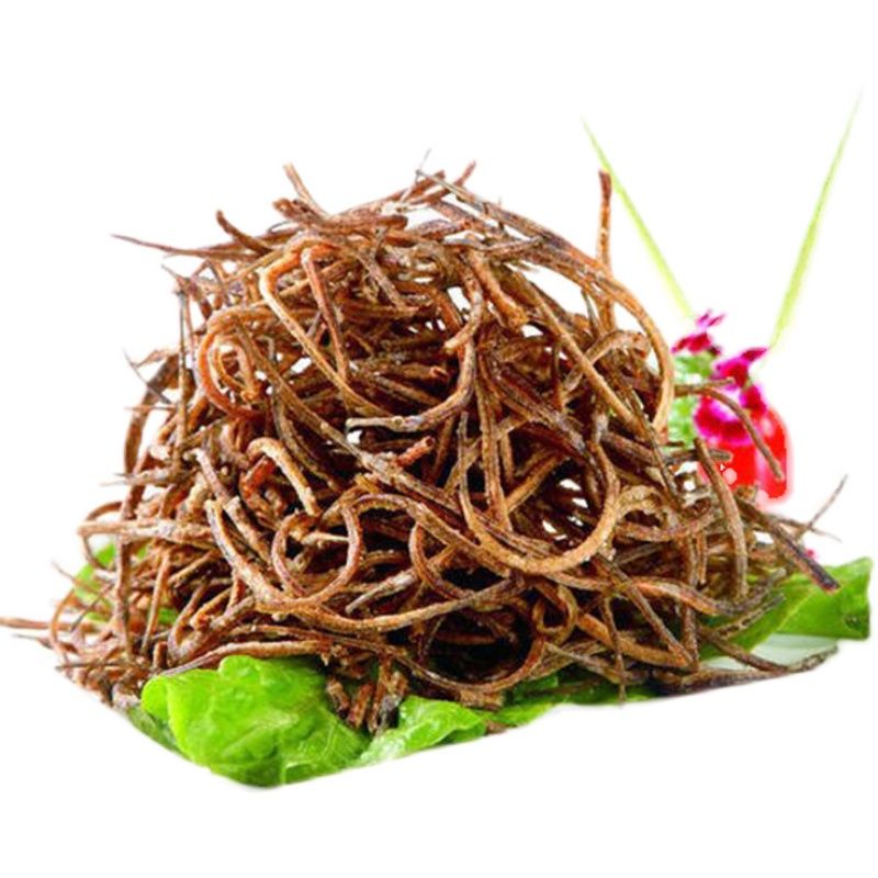 海龍魚的功能與作用：海龍魚具有多種功能與作用