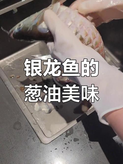 銀龍魚烹飪方法大全圖片