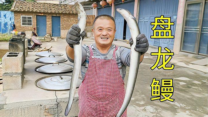 清蒸盤龍魚圖片