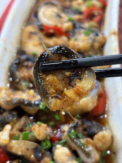 清蒸盤龍魚圖片