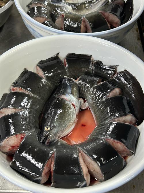 清蒸盤龍魚圖片