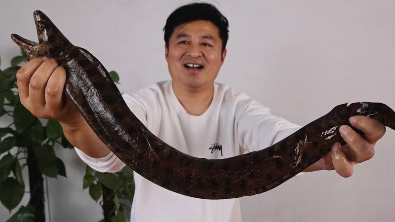 清蒸盤龍魚圖片