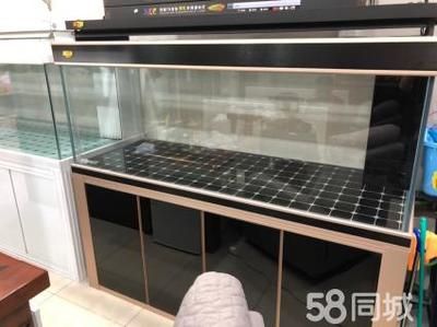 高端龍魚缸推薦品種有哪些:高端龍魚缸推薦品種 龍魚百科 第2張 高端龍魚缸推薦品種有哪些:高端龍魚缸推薦品種 高端龍魚缸推薦品種有哪些:高端龍魚缸推薦品種 龍魚百科 第2張