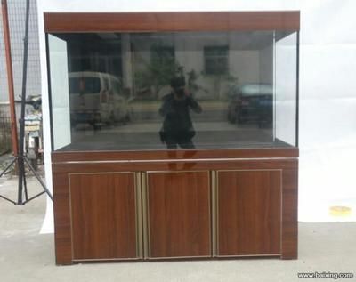 高端龍魚缸推薦品種有哪些:高端龍魚缸推薦品種 龍魚百科 第1張 高端龍魚缸推薦品種有哪些:高端龍魚缸推薦品種 高端龍魚缸推薦品種有哪些:高端龍魚缸推薦品種 龍魚百科 第1張