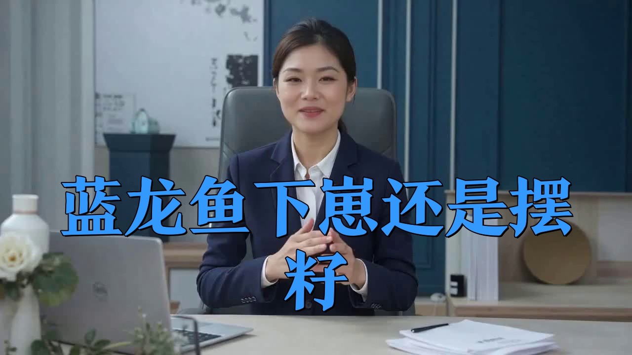 藍龍魚怎么繁殖視頻