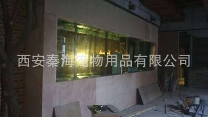 西安魚缸定做祥龍魚場(chǎng)地：西安魚缸定做哪里好 西安魚缸定做祥龍魚場(chǎng)地：西安魚缸定做哪里好 龍魚百科 第2張