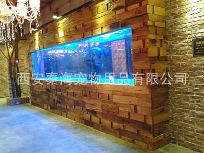 西安魚缸定做祥龍魚場(chǎng)地：西安魚缸定做哪里好 西安魚缸定做祥龍魚場(chǎng)地：西安魚缸定做哪里好 龍魚百科 第3張