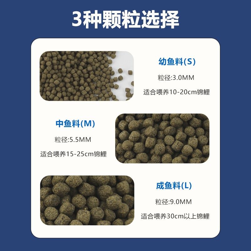 觀賞魚(yú)飼料選擇指南：觀賞魚(yú)飼料品牌推薦