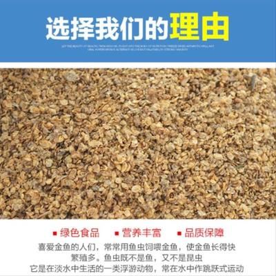 觀賞魚(yú)飼料選擇指南：觀賞魚(yú)飼料品牌推薦