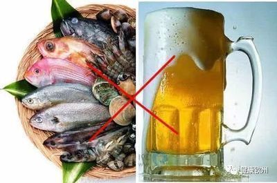 龍魚缸可以放熟普洱茶嗎：如何調節龍魚缸水質，龍魚缸適宜餌料選擇