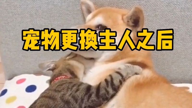 銀龍魚認主后還能換主人嗎？