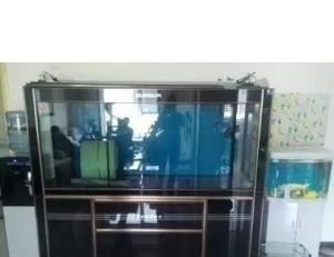 龍魚缸怎么消毒最好：龍魚缸消毒后如何快速干燥龍魚缸消毒后的清洗技巧