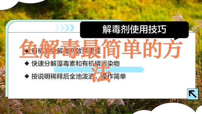紅龍魚中毒后如何急救？