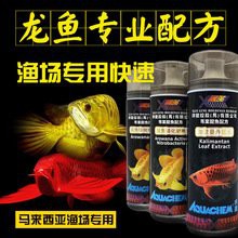 祥龍魚的市場價(jià)格是多少 祥龍魚的市場價(jià)格是多少 龍魚百科 第3張