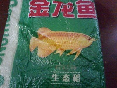 金龍魚產品好不好怎么看出來：如果這里的“金龍魚”是指觀賞魚
