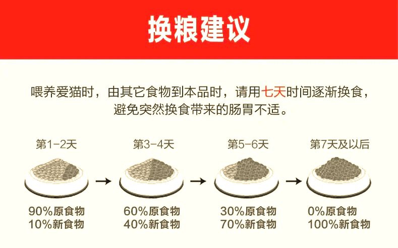 龍貓的主糧應該多久換一次？