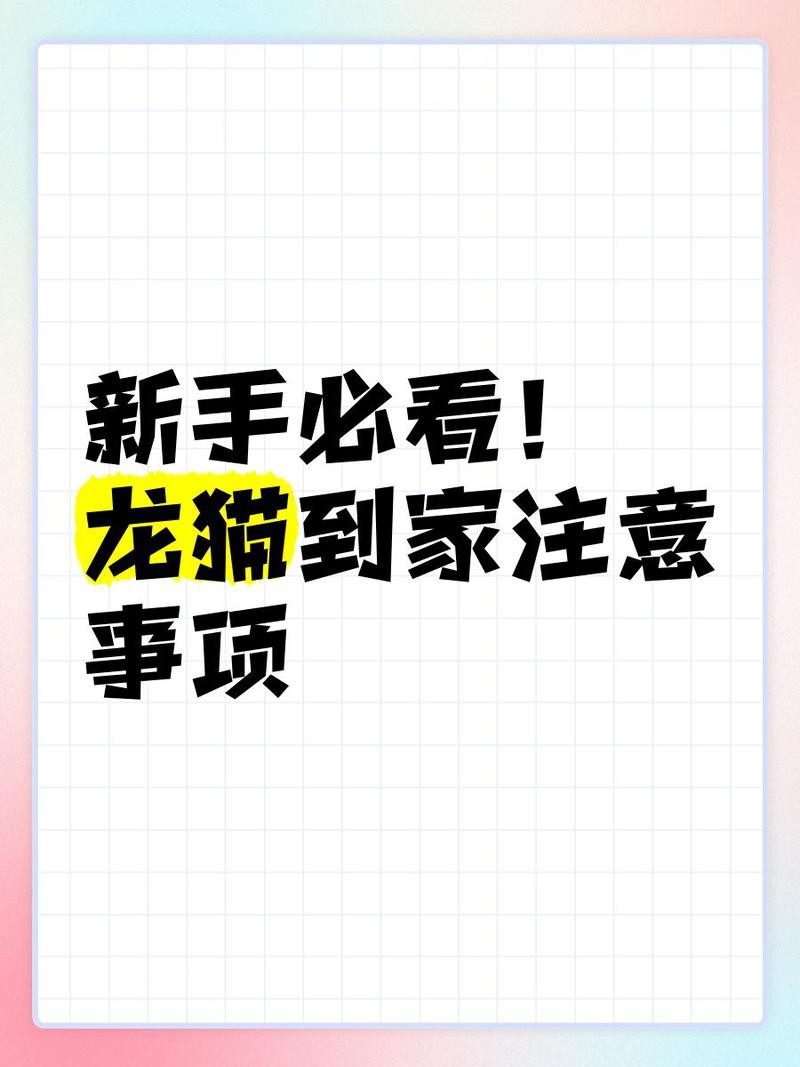 龍貓的主糧應(yīng)該多久換一次？