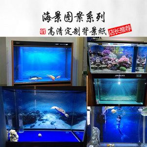 選擇紅龍魚魚缸背景紙什么顏色好紅龍魚魚缸背景紙什么顏色好：紅龍魚魚缸背景紙什么顏色好紅龍魚魚缸背景紙什么顏色好