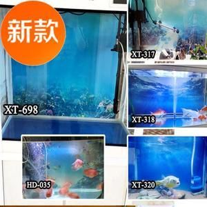 選擇紅龍魚魚缸背景紙什么顏色好紅龍魚魚缸背景紙什么顏色好：紅龍魚魚缸背景紙什么顏色好紅龍魚魚缸背景紙什么顏色好