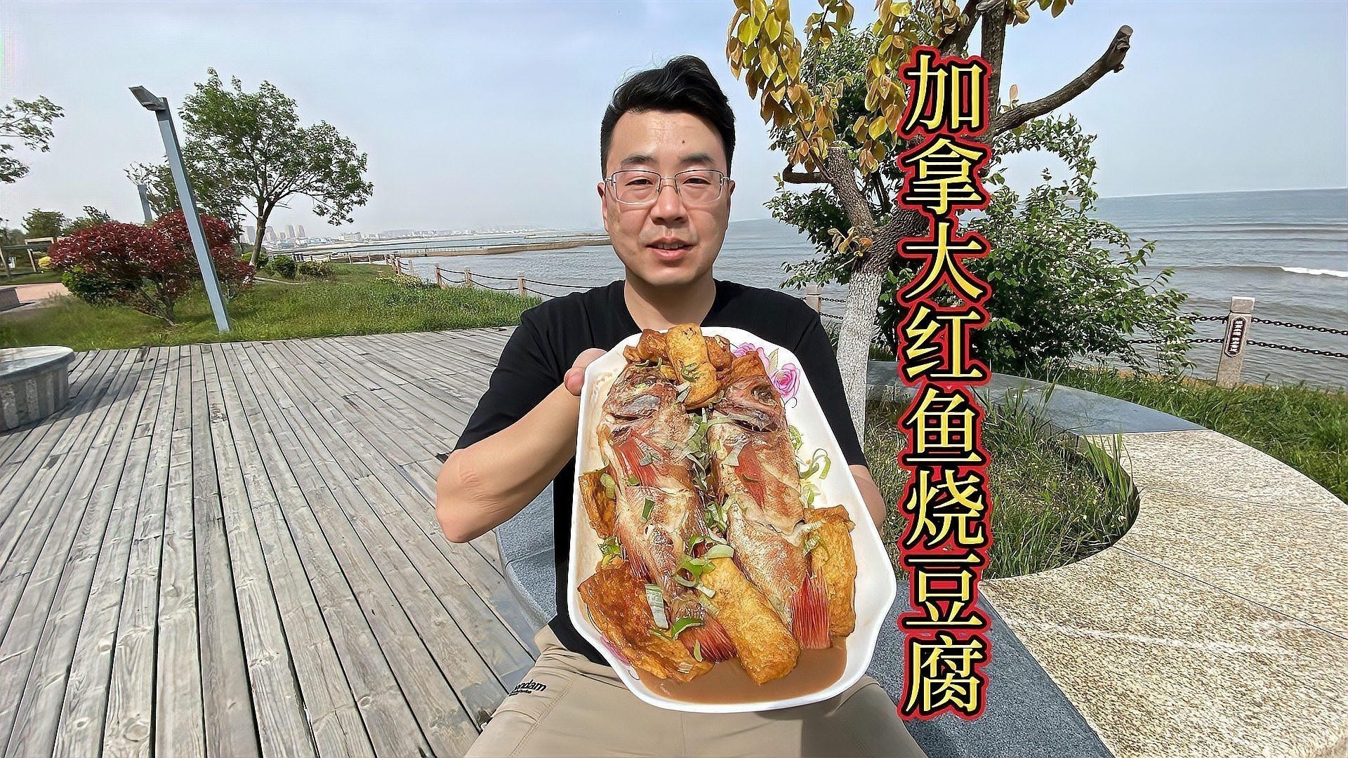 龍魚最好的配魚是什么魚 龍魚最好的配魚是什么魚 龍魚百科 第4張