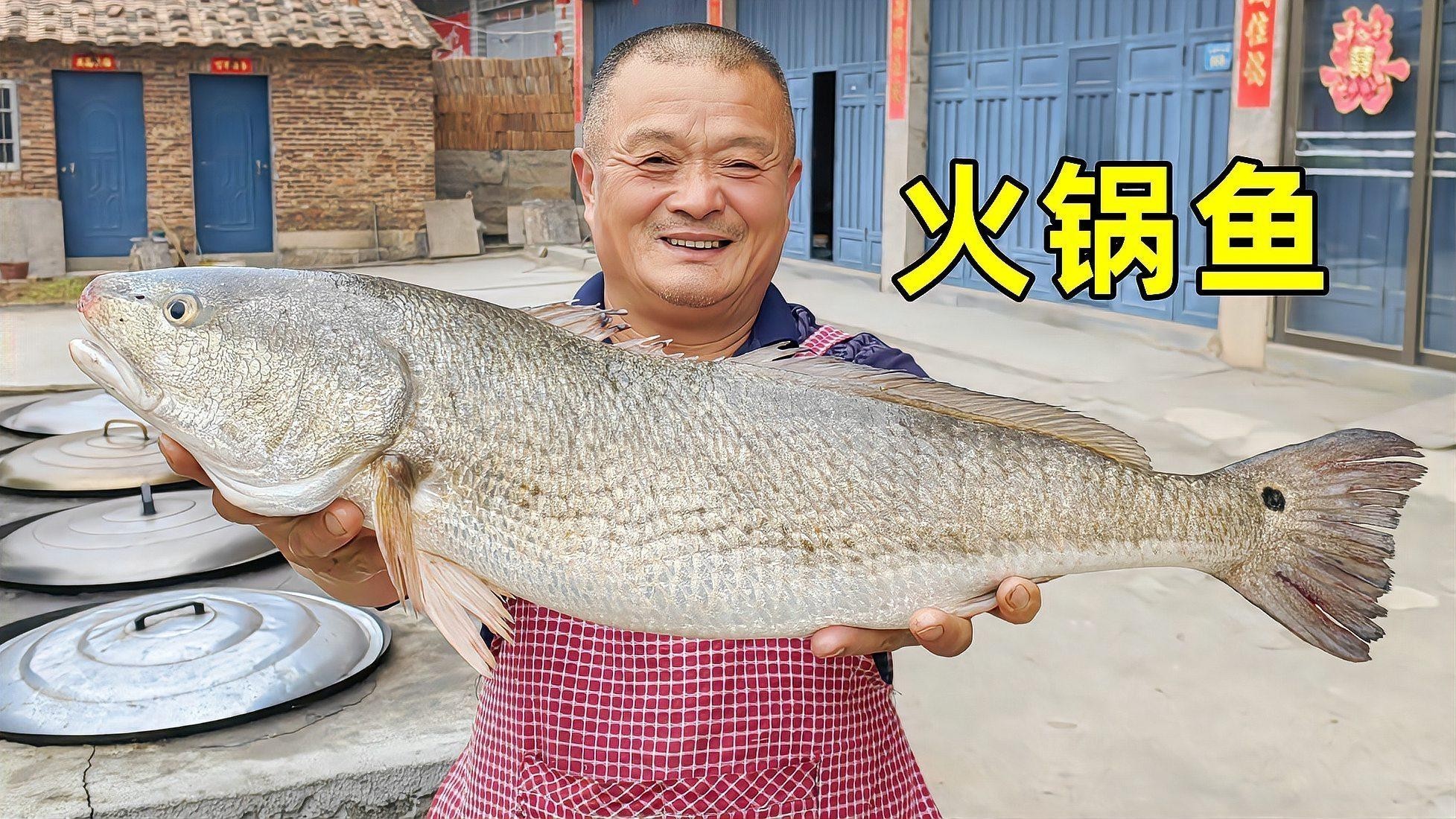 龍魚最好的配魚是什么魚 龍魚最好的配魚是什么魚 龍魚百科 第3張