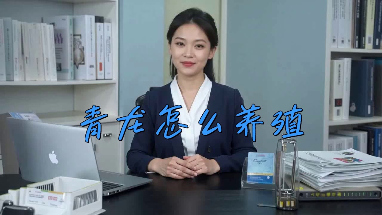 青龍魚好養嗎 青龍魚好養嗎 龍魚百科 第7張