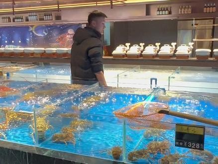 青龍魚好養嗎 青龍魚好養嗎 龍魚百科 第13張