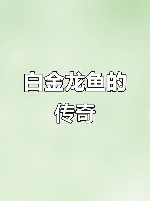 哪里可以找到高清白金龍魚圖片？ 哪里可以找到高清白金龍魚圖片？ 龍魚百科 第4張