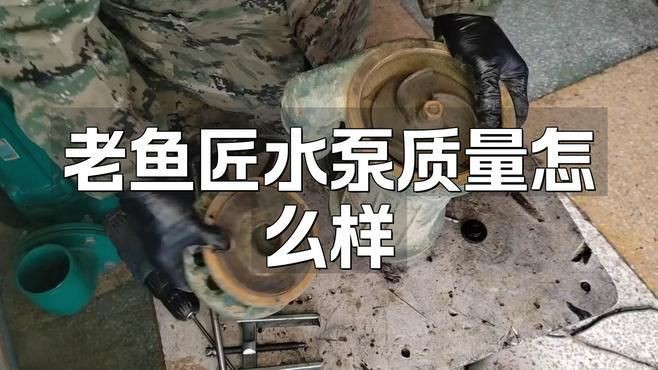 老魚匠屬于什么檔次