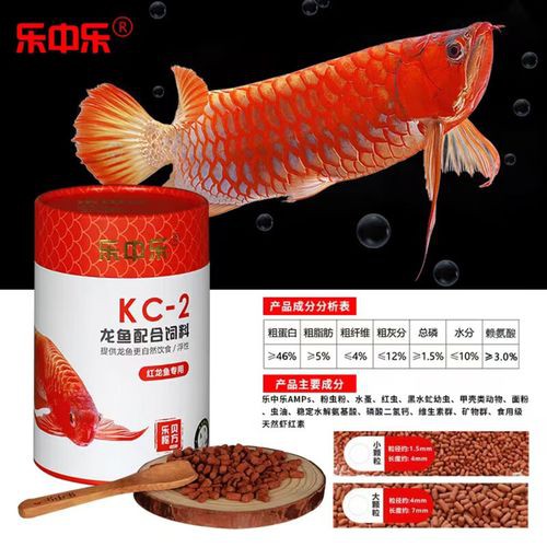 紅龍魚活體魚怎么養好看