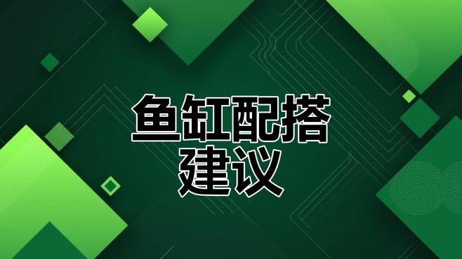 金龍魚跟什么魚混養好一點