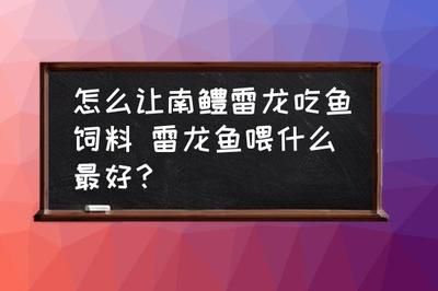 雷龍魚喂飼料長(zhǎng)得快嗎視頻：觀賞魚飼料成分解析雷龍魚飼料成分解析雷龍魚飼料成分解析