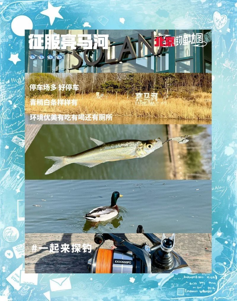 北京哪里的龍魚比較好釣魚 北京哪里的龍魚比較好釣魚 龍魚百科 第12張