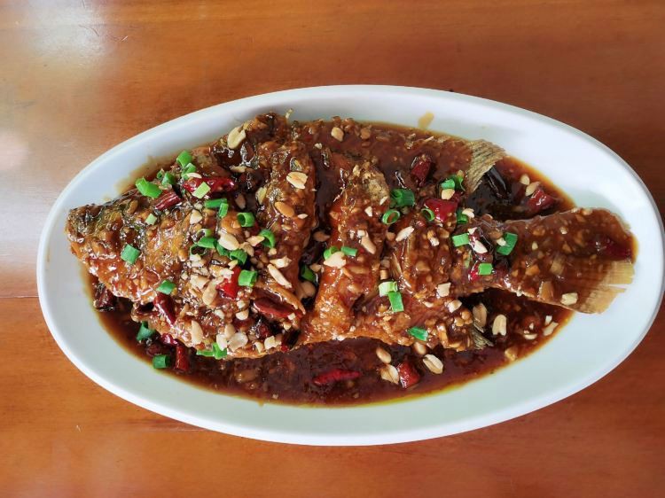 北京哪里的龍魚比較好釣魚 北京哪里的龍魚比較好釣魚 龍魚百科 第10張