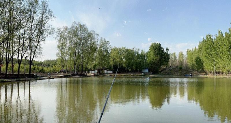 北京哪里的龍魚比較好釣魚 北京哪里的龍魚比較好釣魚 龍魚百科 第11張