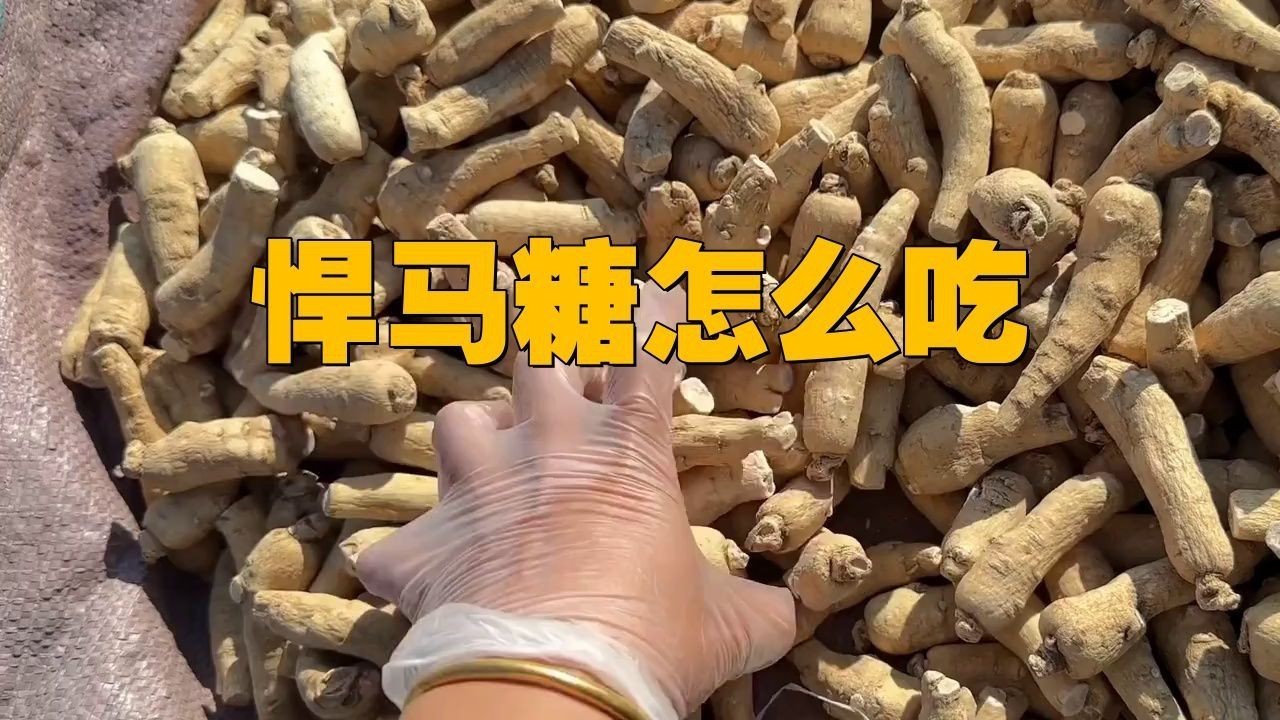 馬來西亞悍馬金糖 龍魚百科 第2張 馬來西亞悍馬金糖 馬來西亞悍馬金糖 龍魚百科 第2張