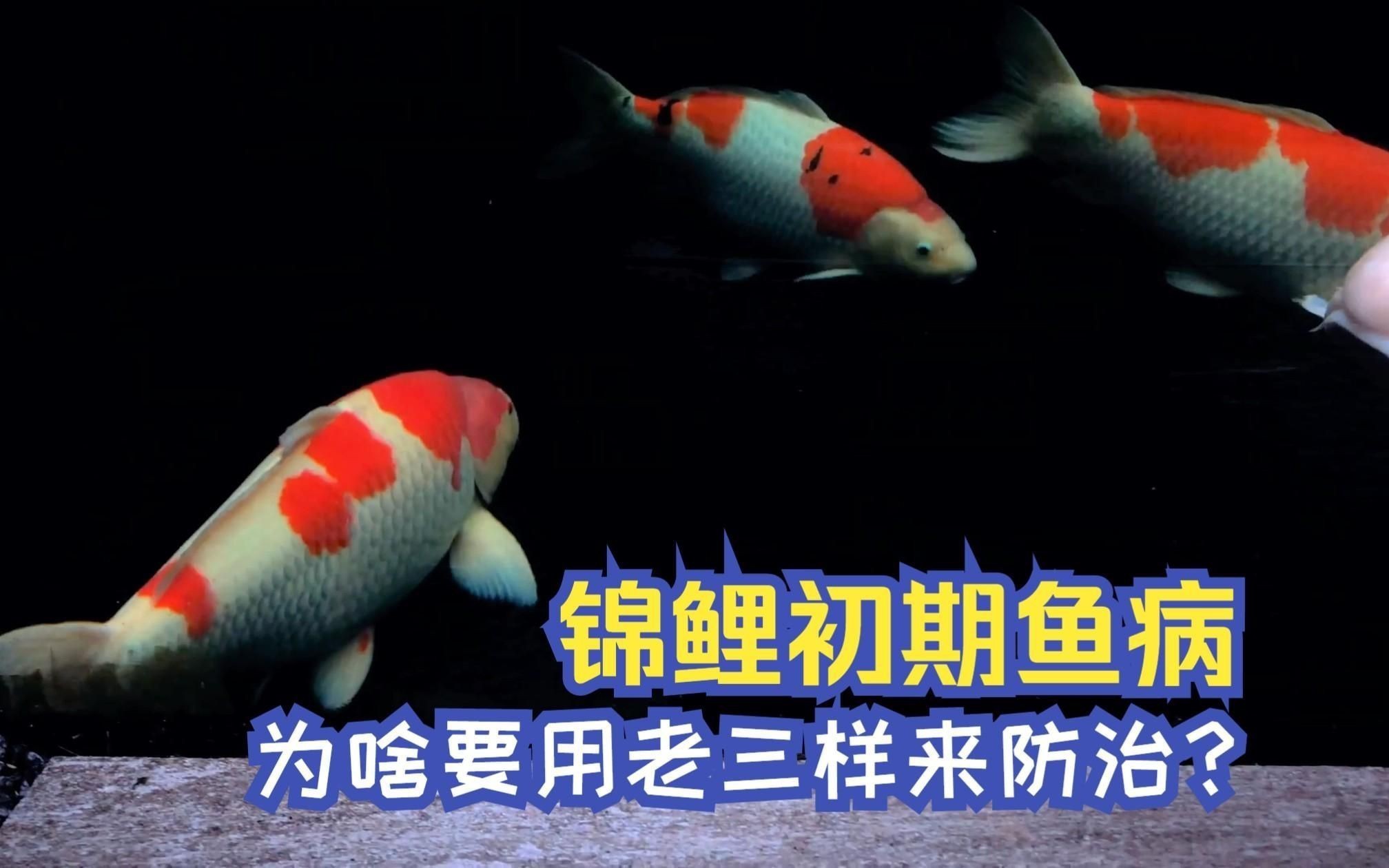 能再詳細介紹一下“老三樣”療法嗎？