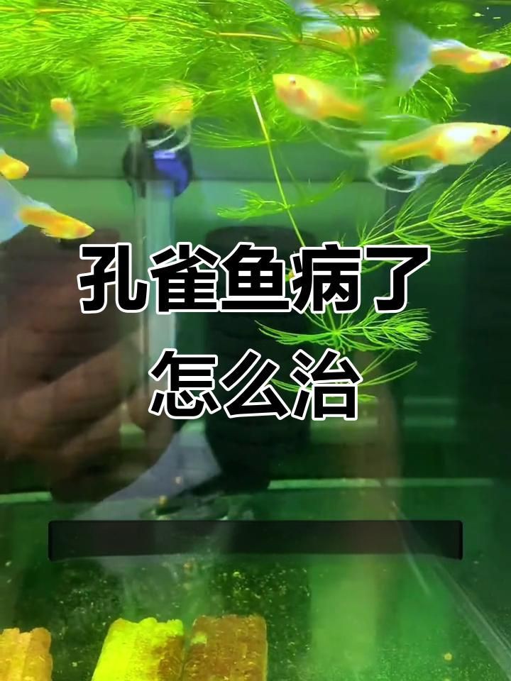 能再詳細介紹一下“老三樣”療法嗎？