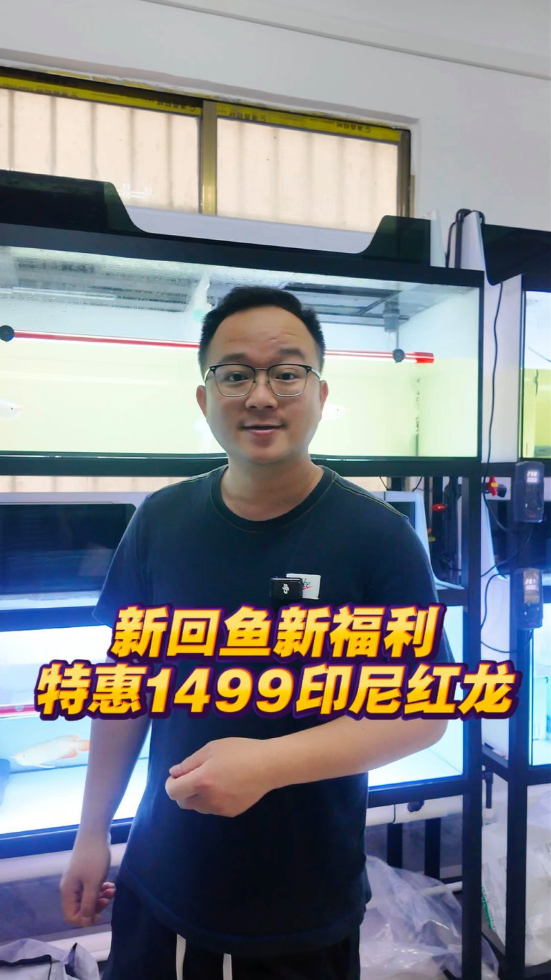 綠皮紅龍的市場價格是多少？