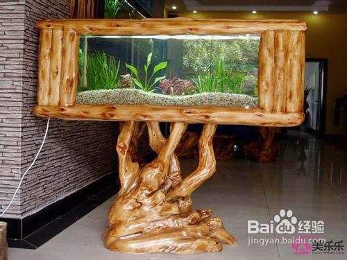 小型魚缸魚屎怎么處理，小型魚缸中魚屎的處理方法 小型魚缸魚屎怎么處理，小型魚缸中魚屎的處理方法 龍魚百科 第4張