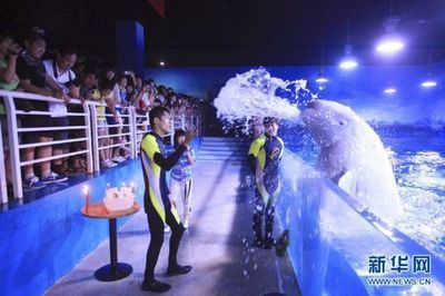 天津水族館：天津水族館是一個集娛樂、學習和環保于一體的綜合性景點