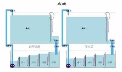 森森魚缸底濾濾材擺放順序圖（森森魚缸底濾濾材擺放順序）