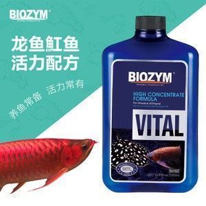 龍魚水霉怎么治療：龍魚水霉病治療后護理,如何選擇龍魚水霉藥 龍魚水霉怎么治療：龍魚水霉病治療后護理,如何選擇龍魚水霉藥 龍魚百科 第4張